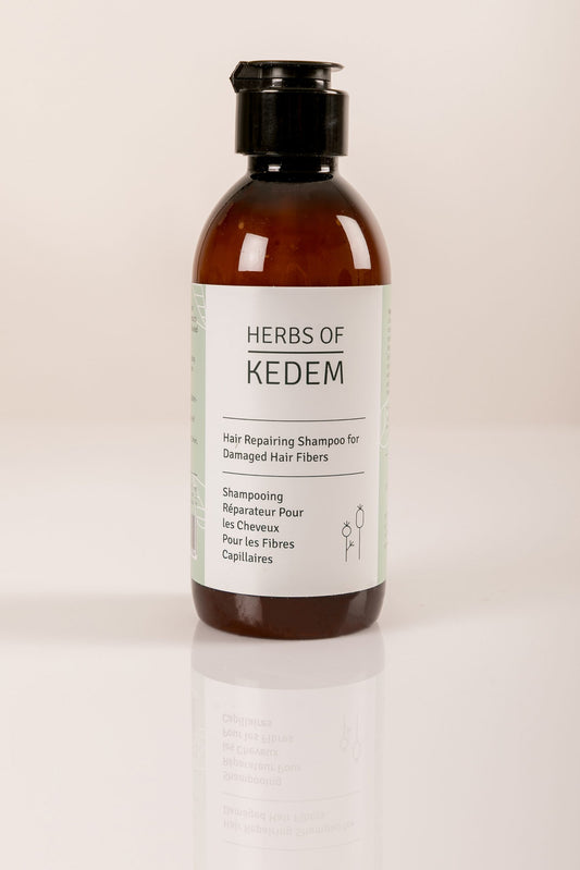 Kedem Aufbau-Shampoo | Pflanzliche Regeneration für geschädigtes Haar
