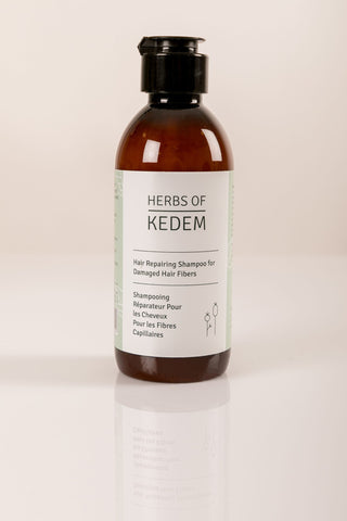 Kedem Aufbau-Shampoo | Pflanzliche Regeneration für geschädigtes Haar