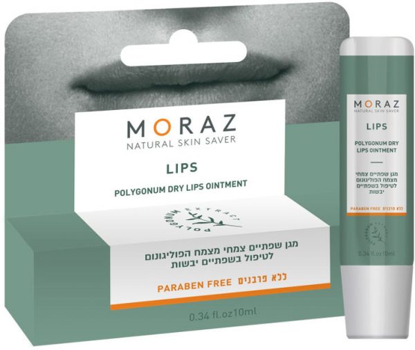 MORAZ Polygonum Lippensalbe - 10ml