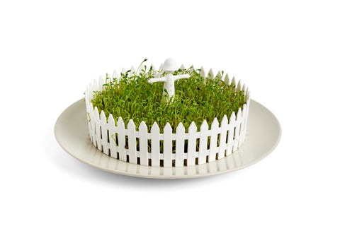 seed germ